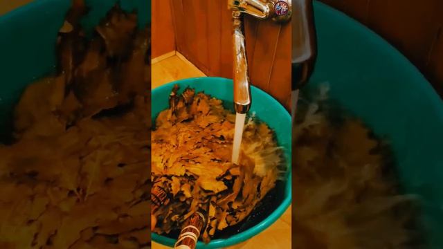 Это видео снял мой друг Андрей. 
13 апреля 2026г. Якудза и Андрей в Карагай Бани