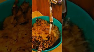 Это видео снял мой друг Андрей. 
13 апреля 2026г. Якудза и Андрей в Карагай Бани