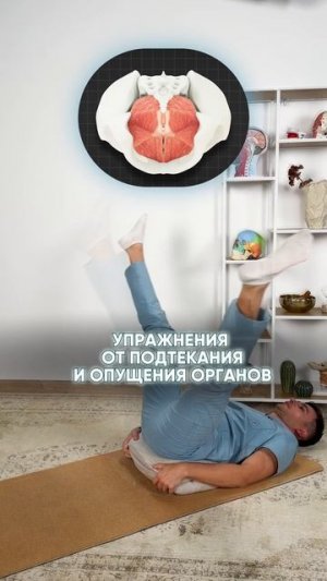 ЛУЧШИЕ упражнения от ПРОТЕКАНИЯ, которые нужны КАЖДОМУ! #здоровье #внутренниеорганы #упражнения