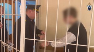 На Ставрополье подросток пытался убить свою родственницу