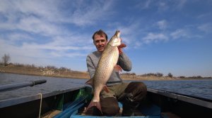 СДЕЛАЛ ПРИМАНКУ СУДАК И ЩУКА ОЗВЕРЕЛИ. Рыбалка на судака и щуку. Джиг. Осенняя рыбалка в Астрахани!