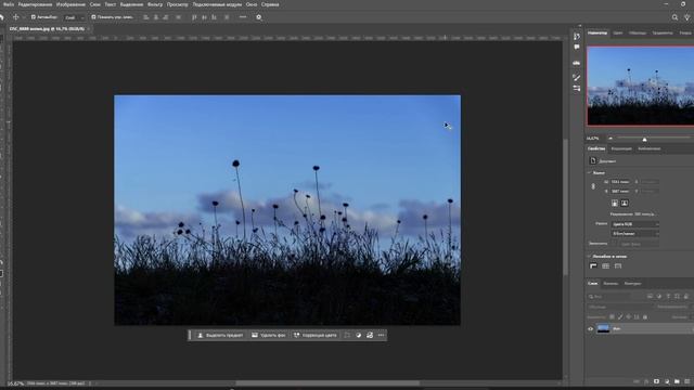Гистограмма в фотографии