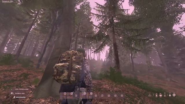 DayZy. Веселуха