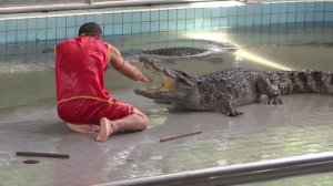 Таиланд - Паттайя, Шоу крокодилов (фрагмент)