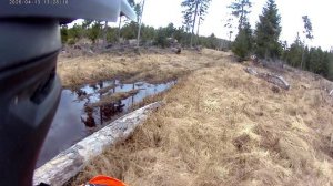 Лесные покатушки, 13 апреля 2026. Грибов нет- давить нечего ))) 003