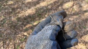 Во че я нашел. Неожиданная находка. Коп с nokta legend 2