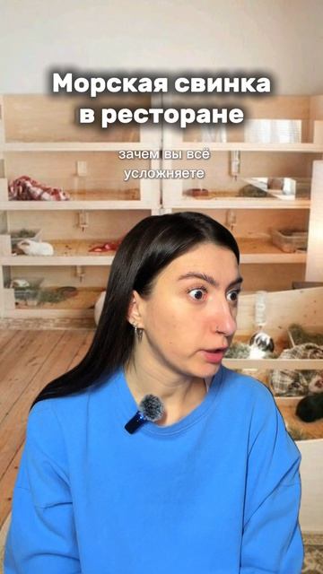 Морская свинка в ресторане
