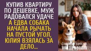 Истории из жизни: Купив квартиру по дешевке, муж радовался удаче… А едва пес начал рычать на угол…