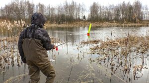 ГЛУБИНА ПО КОЛЕНО, а карась клюёт на поплавок. Рыбалка ранней весной в 2026