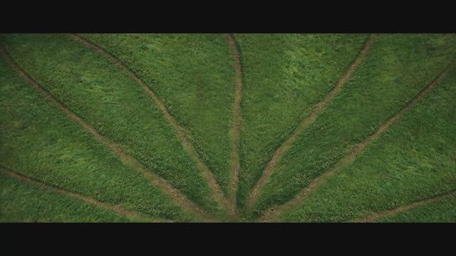 дороги судьбы - авторская песня, творчество нейросетей