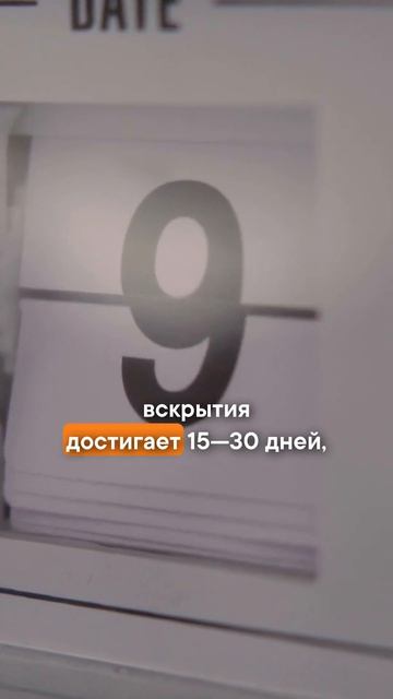 Полезная информация о консервантах.