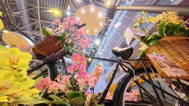 🌸Цветочная выставка Hortiflorexpo в Пекине