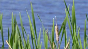 Наденете это 13 апреля - Ждите большой беды.