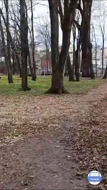 Приезжайте в Тамбов