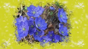 А в душе весна шепчет и улыбается