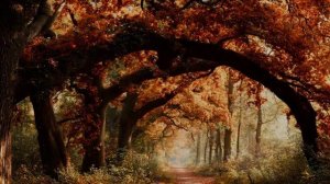 Отцветут, все сады...