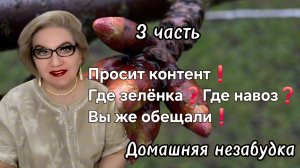 3 часть. Просит контент❗️Где зелёнка❓️Где  навоз❓️Вы же обещали❗️