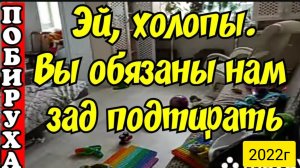 Деревенский дневник очень многодетной мамы _Эй, холопы _Вы, обязаны нам зад подтирать _Обзор Влогов