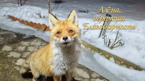 Ночная встреча.