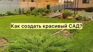 Декоративные кустарники обрезаю и формирую весной!