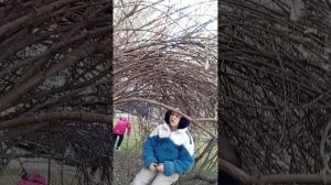 прятки и дагонялки