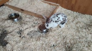 3. Городская ферма ВДНХ (2)