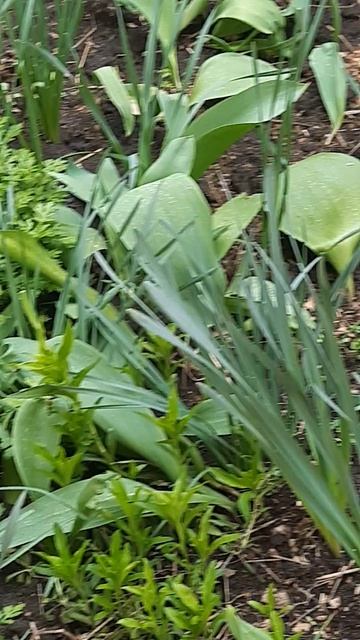 Природа просыпается