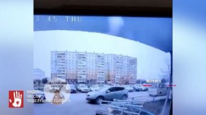 В Копейске бродячая собака напала на ребёнка. Возбуждено уголовное дело