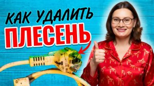 Как удалить плесень в доме?