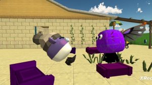 Кинито пет обычный против Мяу кэт