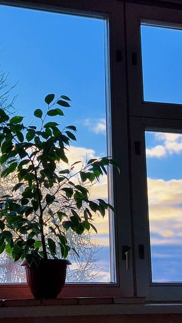 Доброе утро в моем окне