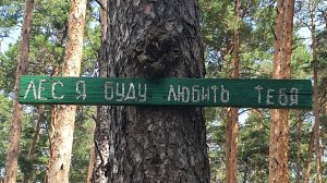 Презентация канала Yaroslav Perelygin