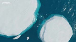 Hey Sealy, Turn The Music OnㅣSEALOOKㅣEP.96