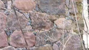 Катаемся по историческим местам. Руины Финского дома 🏠. Усадьба Ознаково🏛️