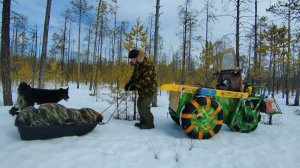 На снегоходе к болоту. Первый день.