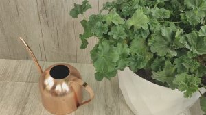 Полейте так ГЕРАНЬ и любой цветок сразу оживет и листики не желтеют