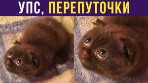 УПС, ПЕРЕПУТОЧКИ)) Приколы