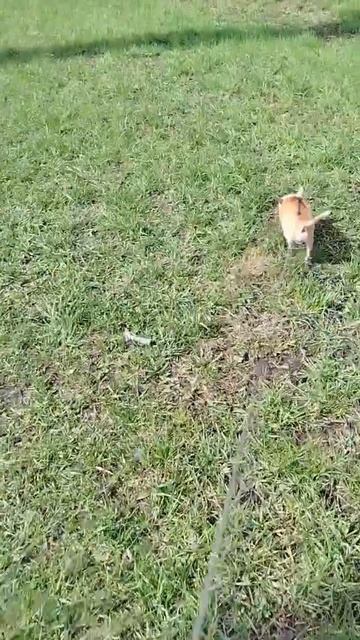 Сеня спортсмен 😁