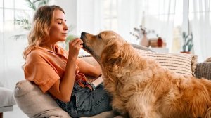 БЕЗКОРЫСТНЫЕ ДРУЗЬЯ. Как любимые животные могут помогать вам удерживать на высоте свои вибрации