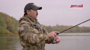 Берш. На джиг-риг и отводной. Ловля хищных рыб.