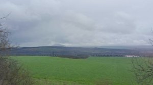 Сочно-зелёные поля,даже в пасмурную погоду🌱