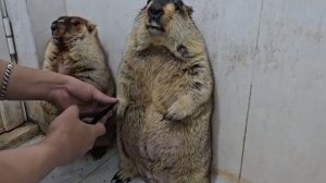 Ожидание - это страдание