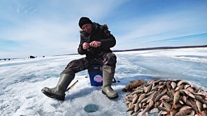 Рыбалка в апреле 2026 года. Ловля окуня и плотвы.