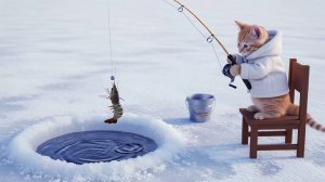 Котики - сборник [1,5 часа]