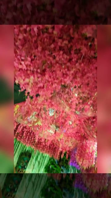 Красавица Казань ❤️