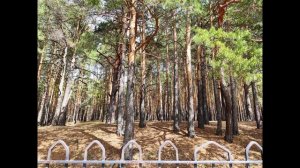 М. Цветаева. 11. Ты солнце в выси мне застишь... Анна Ахматова