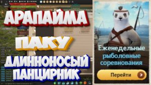 БДО. Арапайма. Паку. Длинноносый панцирник. Рыболовные соревнования. 13-18.04.2026.