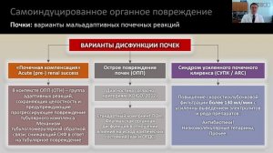 Лекция «Мальадаптация и повреждение при критических состояниях»
