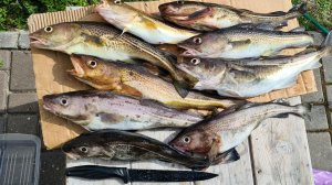 РЫБАЛКА В БАЛТИЙСКОМ МОРЕ: НА МЫСЕ ТАРАН