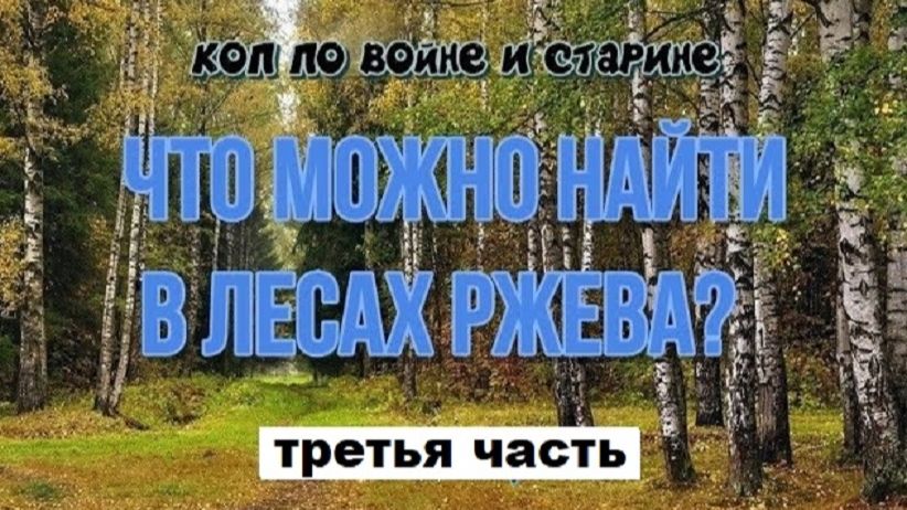 ЧТО МОЖНО НАЙТИ В ЛЕСАХ РЖЕВА? третья часть